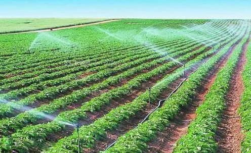 考逼黄片农田高 效节水灌溉